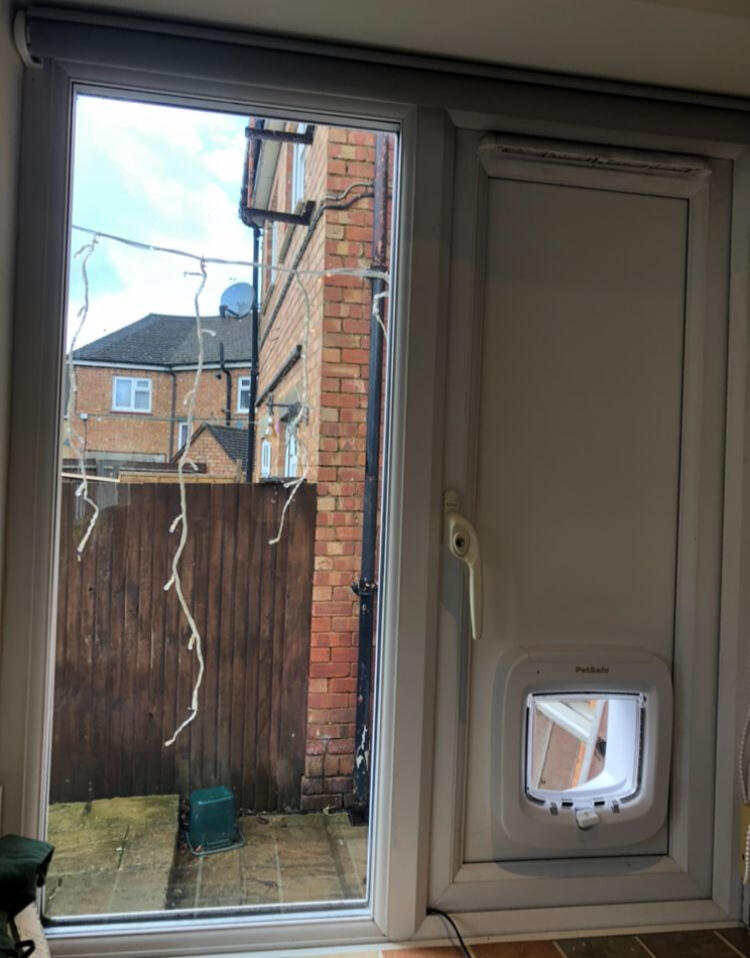 Cat Flap (Window)